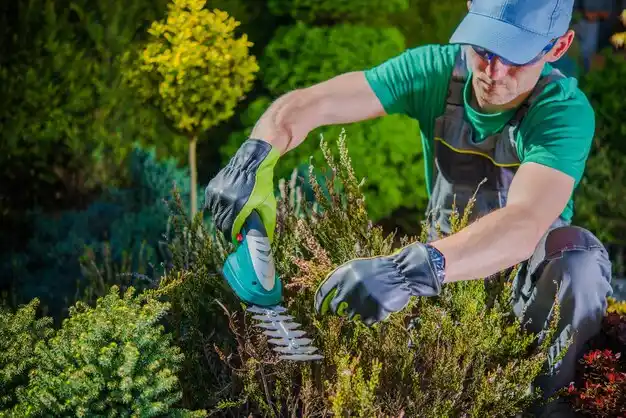 landscaping services Shubuta